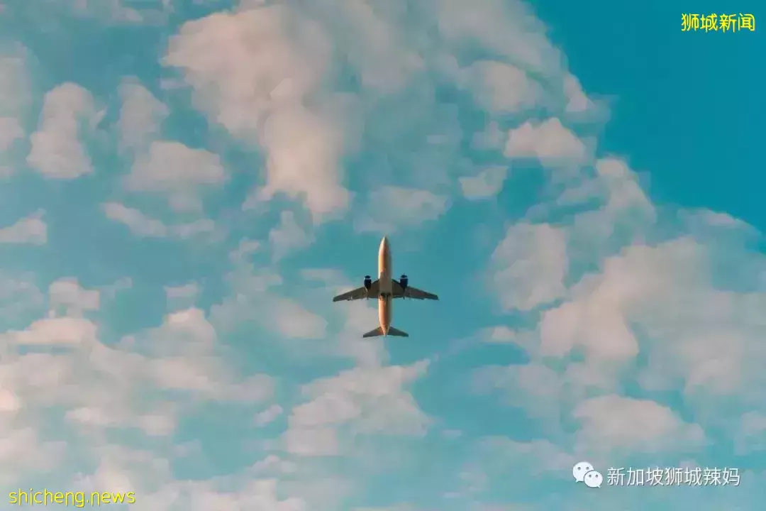 采访了100个在新加坡的人,你有多久没回国了?答案震惊了