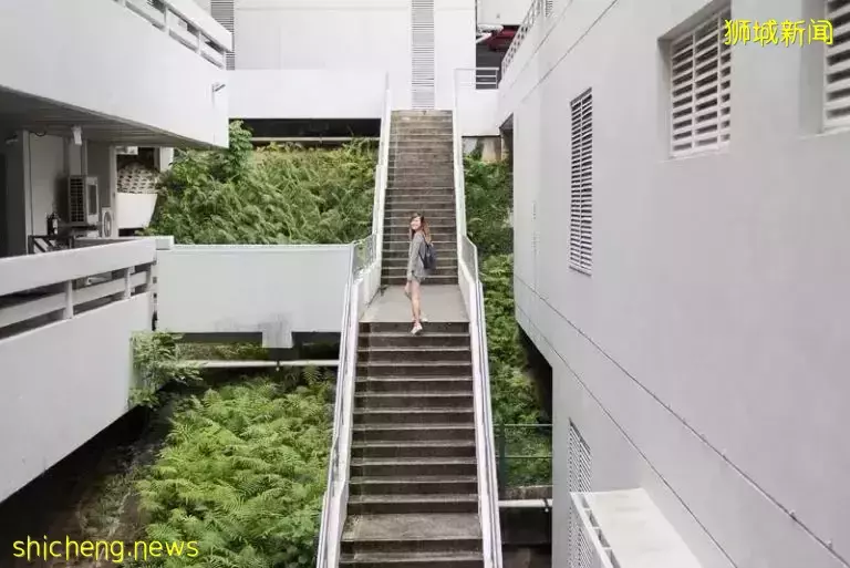 又是一年畢業季，快來NTU這些地方拍畢業照吧