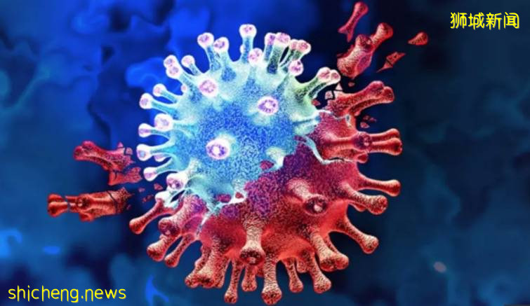 新加坡社區發現6種變異病毒，29人感染！不排除再次封城！8人接種疫苗後感染