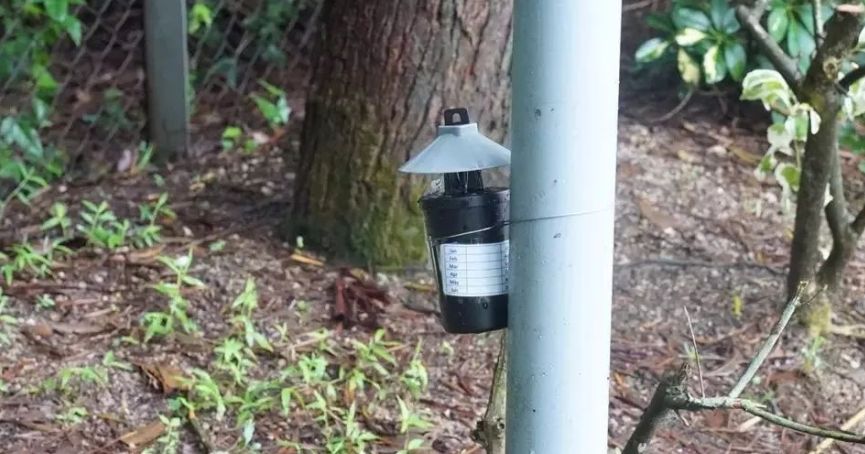 新加坡骨痛热症死亡人数创12年新高!