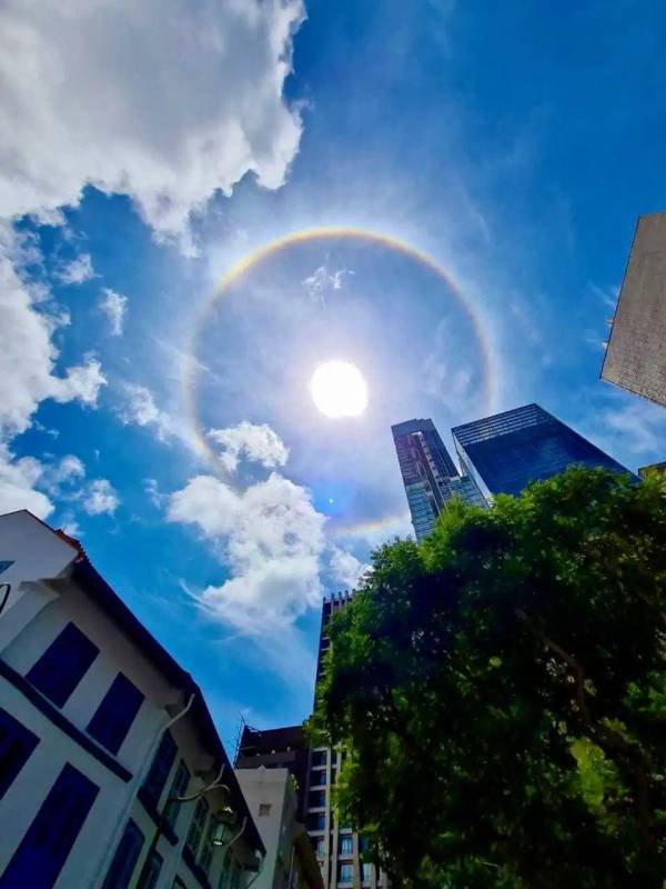 新加坡惊现绝美日晕彩虹光环，李显龙总理、王瑞杰副总理也转发了