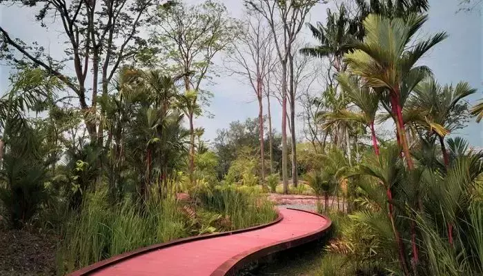 新加坡神奇路線圖,輕松穿梭各個公園,再也不怕迷路啦