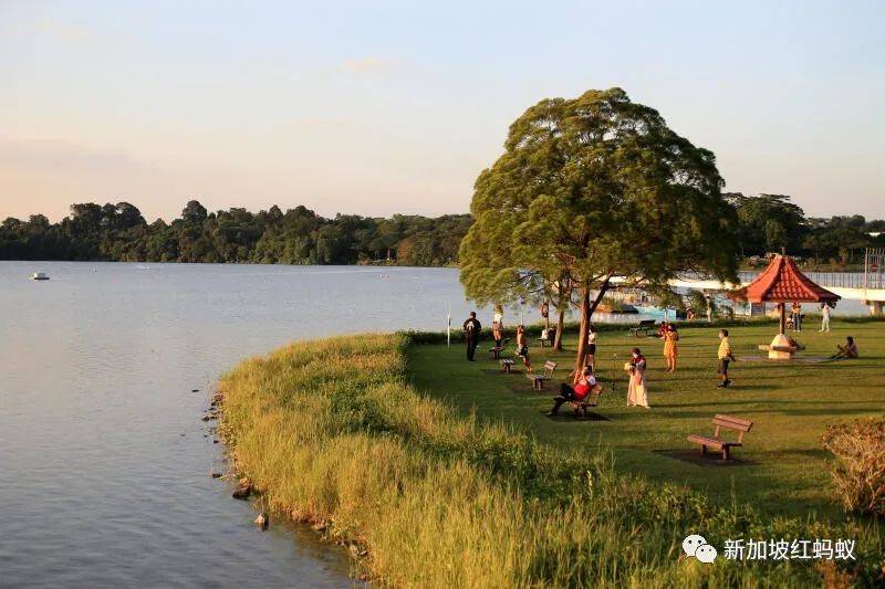 小小的新加坡竟有17個水庫　一個比一個清幽秀麗