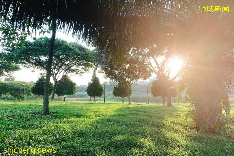 不能出国，坡里这些美食美景让你假装在国外