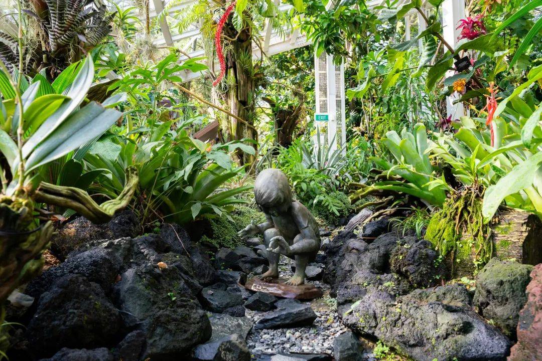 新加坡热带高山胡姬展览馆开幕;国家胡姬花园将免费开放至4月11日