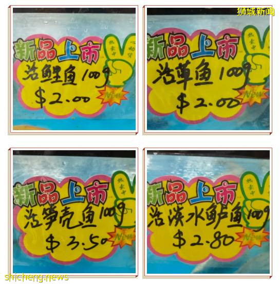 2021新加坡米其林榜出爐!種草高級海鮮食材:帝王蟹、加拿大青口、蘇格蘭竹蚌
