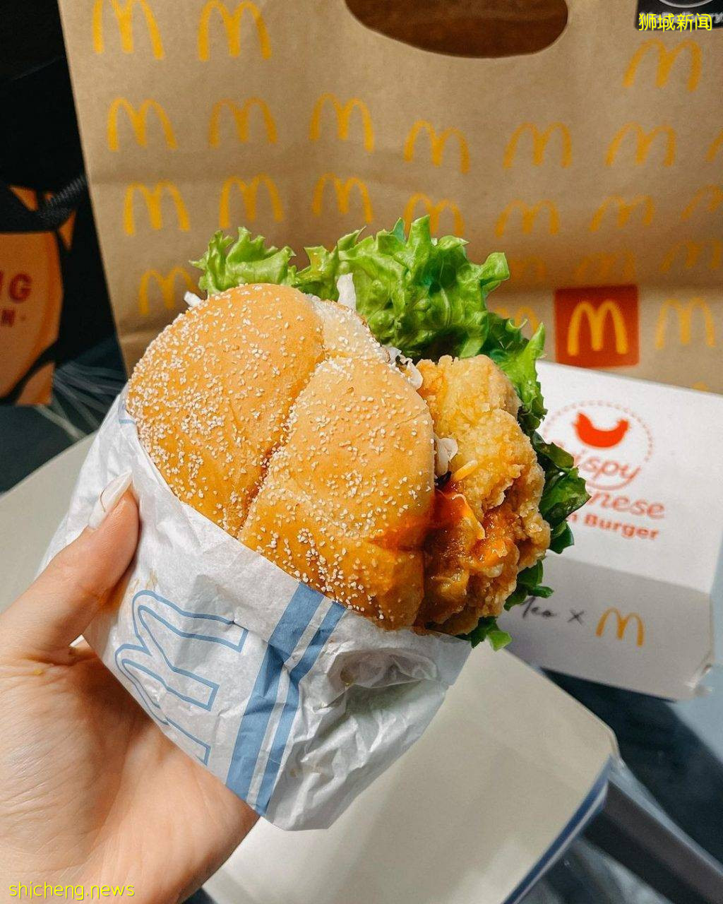 麥當勞最新創意之作“海南雞飯漢堡”🍔3種靈魂醬汁搭配、本地獨特風味,8月5日全島發售