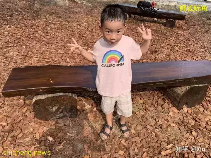 INS最火爆的新加坡公園,竟然還藏著一個超好玩的兒童遊樂場