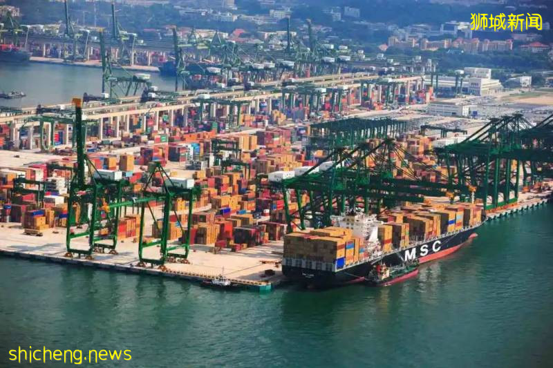 新加坡職總平價超市放寬限購措施:廁紙、快熟面和罐頭限額放寬,蔬菜不再設限!