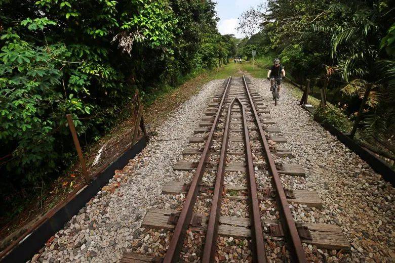 觀鳥、陡坡、嬉水、看夕陽,13條新加坡最美親子騎行路線