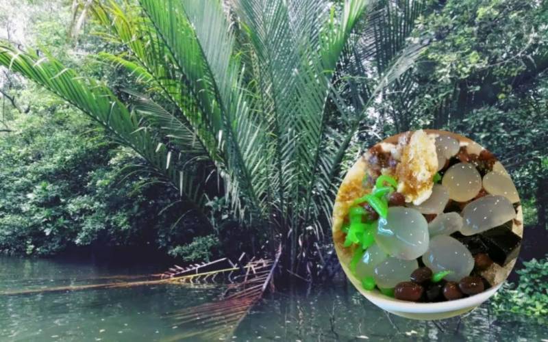 新加坡辣椒螃蟹中的螃蟹竟然來自樹林