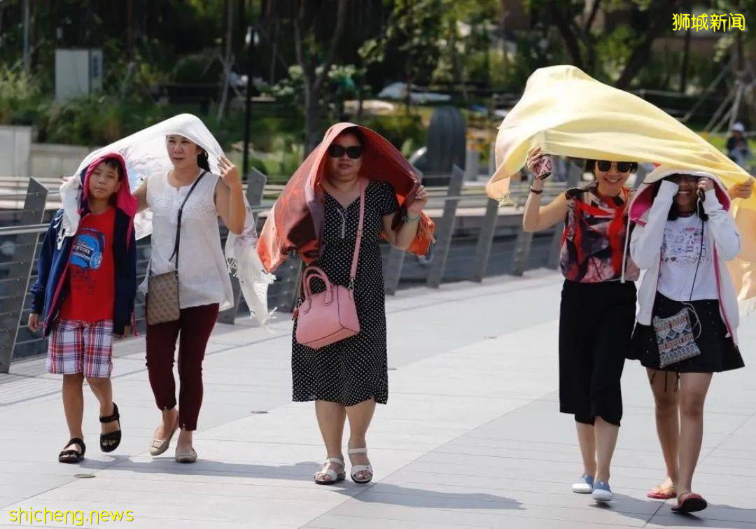 新加坡酷热，人容易上火！消火吃啥最好