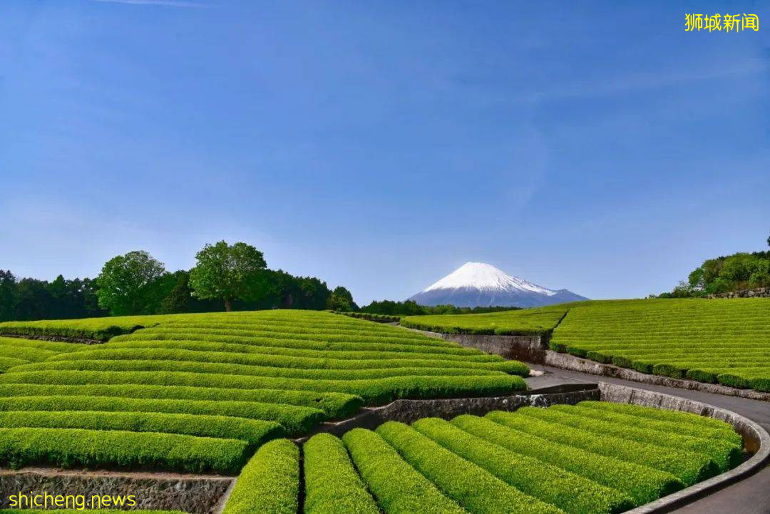 病例日增快破3000的日子,收好我的一周外卖精选吧