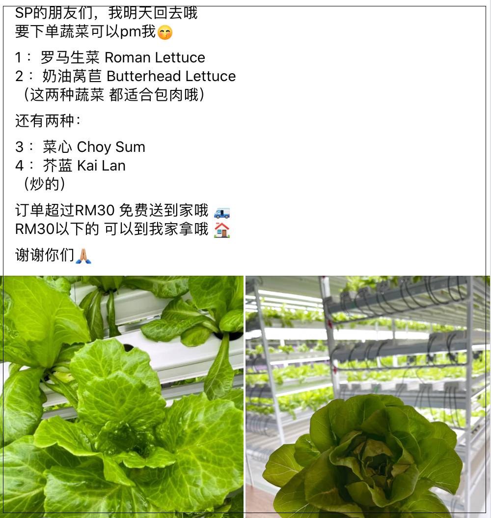 新航日本籍空姐講述被裁員的過程,她們還好嗎