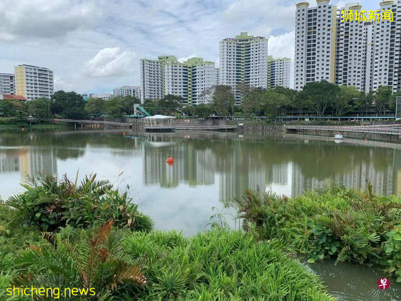 在那偏远的山头走一回新加坡最狭长的公园,看洋房、濒水组屋和明澈如镜的盘沙池