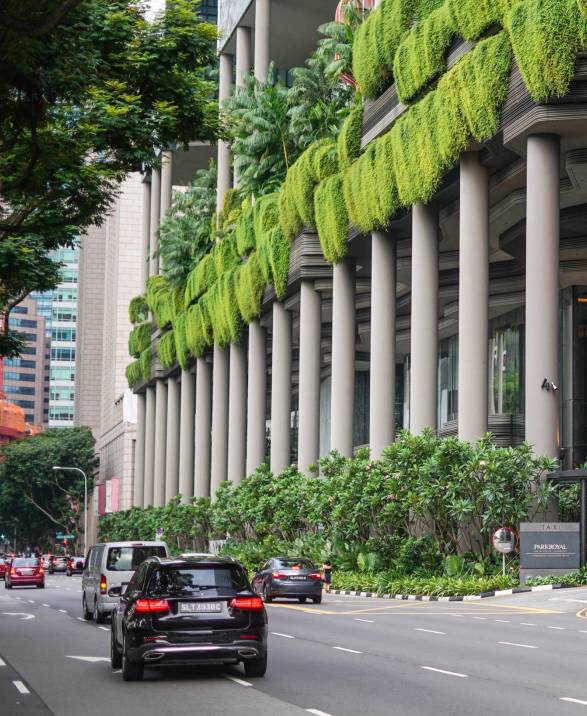 門檻更低,花費更少 新加坡自雇移民計劃