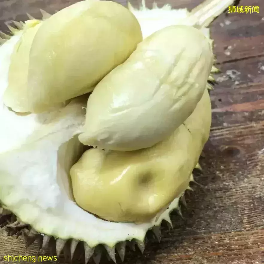 新加坡榴梿季来了啊啊啊!本地人吃榴梿秘籍,这7家最便宜