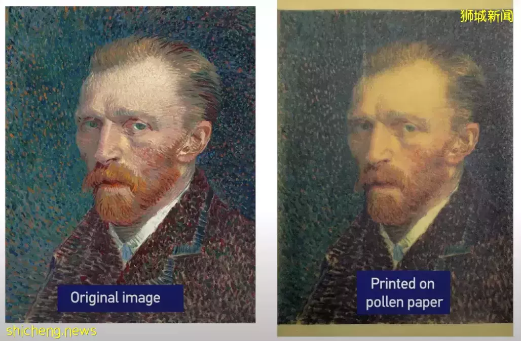 新研发!能脱色的花粉纸,可实现反复打印