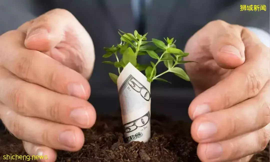 【新闻资讯】新加坡政府开始折腾EP了吗？进入2022年，针对EP的新政一波比一波严