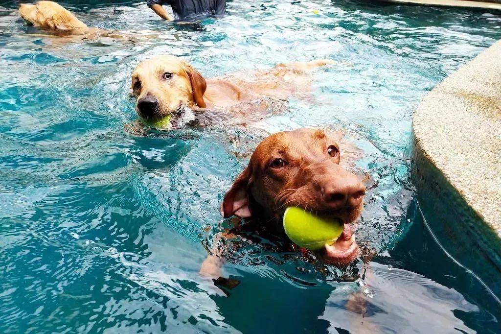 新加坡最像欧洲小镇的小山坡,藏着30多家好吃好玩好逛的文艺感小店