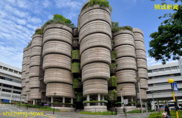 重新分配!新加坡南大宣布將爲國際學生提供更多宿舍名額