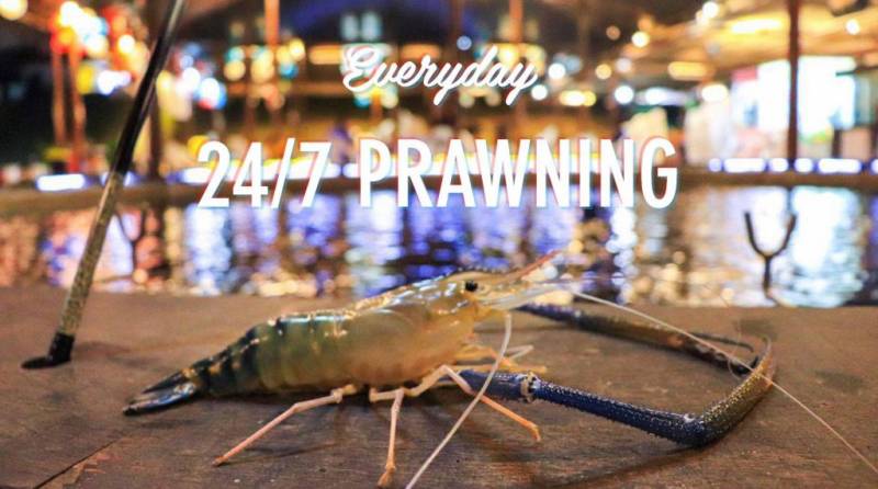 新加坡國民娛樂項目，養生釣蝦約不約？！盤點新加坡好玩的釣蝦場，周末走起吧