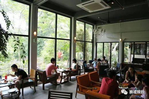 新加坡30多間孩子喜歡的餐廳，自帶免費遊樂場！樹屋、蹦床、攀岩、秋千都有（下）