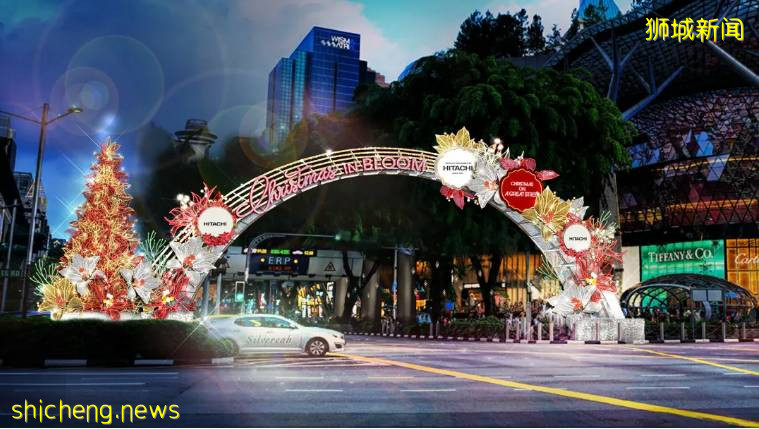 本周折扣!淡马锡发免费消毒漱口水,电器1折!乌节路圣诞灯饰曝光