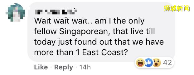 新加坡大选真精彩!这些人竟然是亲戚