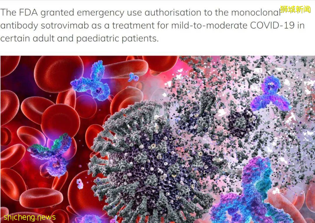 新加坡不再公布到訪地!已買首款新冠藥物,可治變異病毒