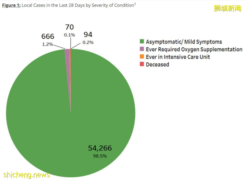 全球疫情出现神秘拐点!新加坡为什么最终和病毒共存?有这7大原因