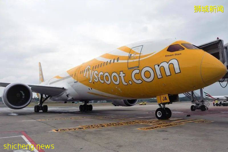 大使馆发布重要通知!新加坡飞中国航班又遭熔断