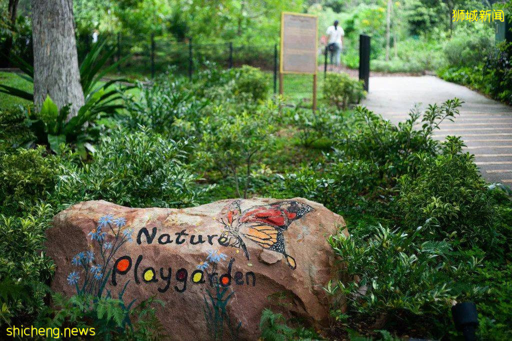 人少景美！新加坡5个自然公园推荐，第一个就心动了