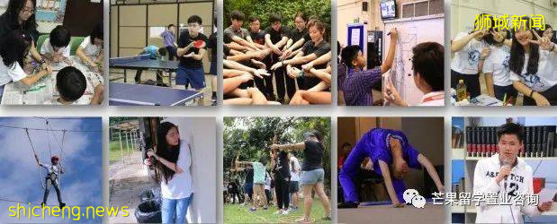 了解新加坡公立/私立/國際學校、理工/藝術/教育模式