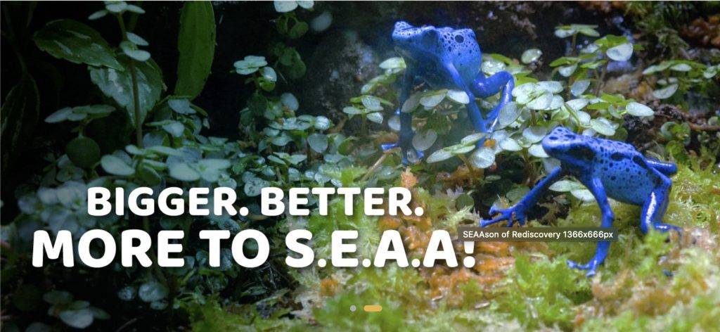 家長必備!2020聖誕🎄遛娃攻略!8個超精彩親子活動,好玩不重樣