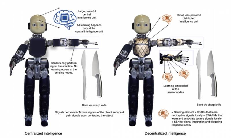 NTU 科研團隊實現機器人識別疼痛及自我修複功能