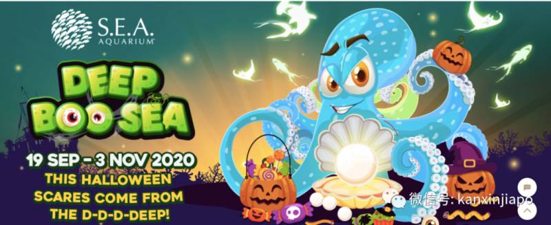 【下周活动】线下爬山聚会、交友活动、牛排自助30新币起