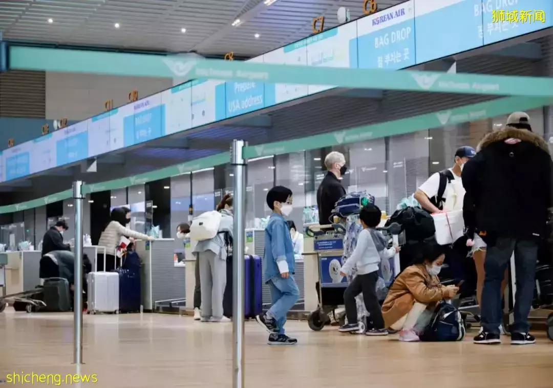 新航取消往返上海兩航班 全網買不到票!韓國5月恢複國際航線 增加來新航班