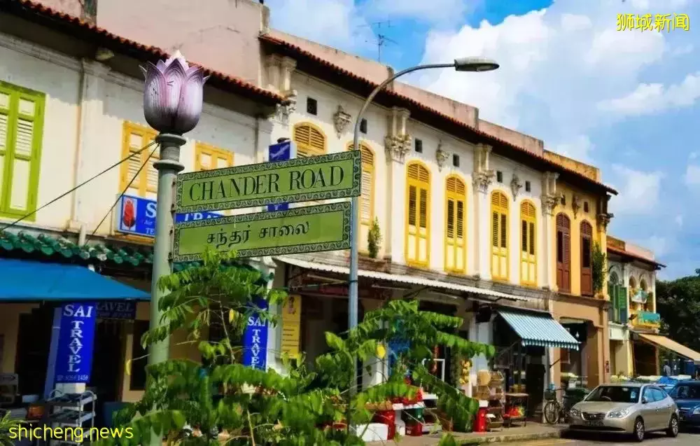 在新加坡创业有多难，过来人现身说法