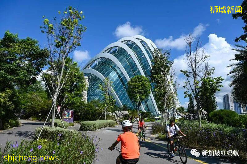 鸿商富贾的风水宝地? 新加坡百万富豪2025年预计增加62%