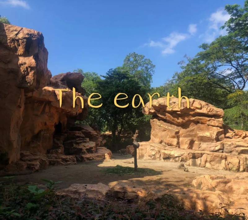 新加坡丨雨季里，我路过一个未来世界（中）