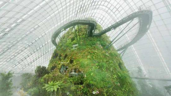 【元旦彙總】~*HAPPY 牛 YEAR*