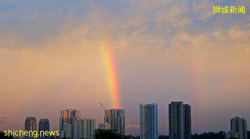刷屏!新加坡昨天出现绝美彩虹,副总理也忍不住转发!