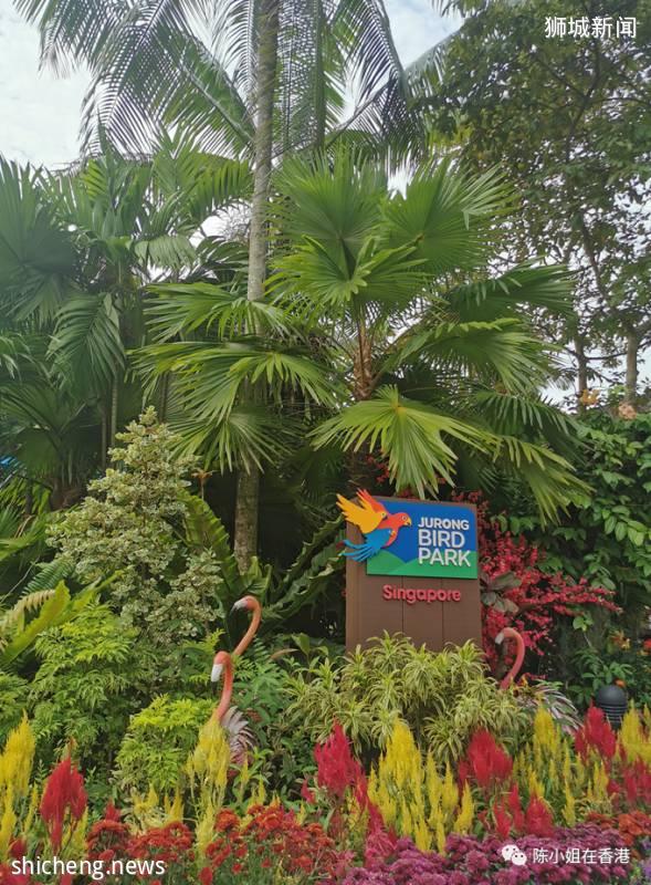 新加坡亲子游-裕廊飞禽公园 第五日&第六日