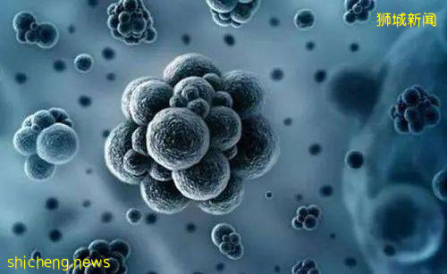 病例連續5天下降!新加坡用這項新技術,追蹤病毒傳播!