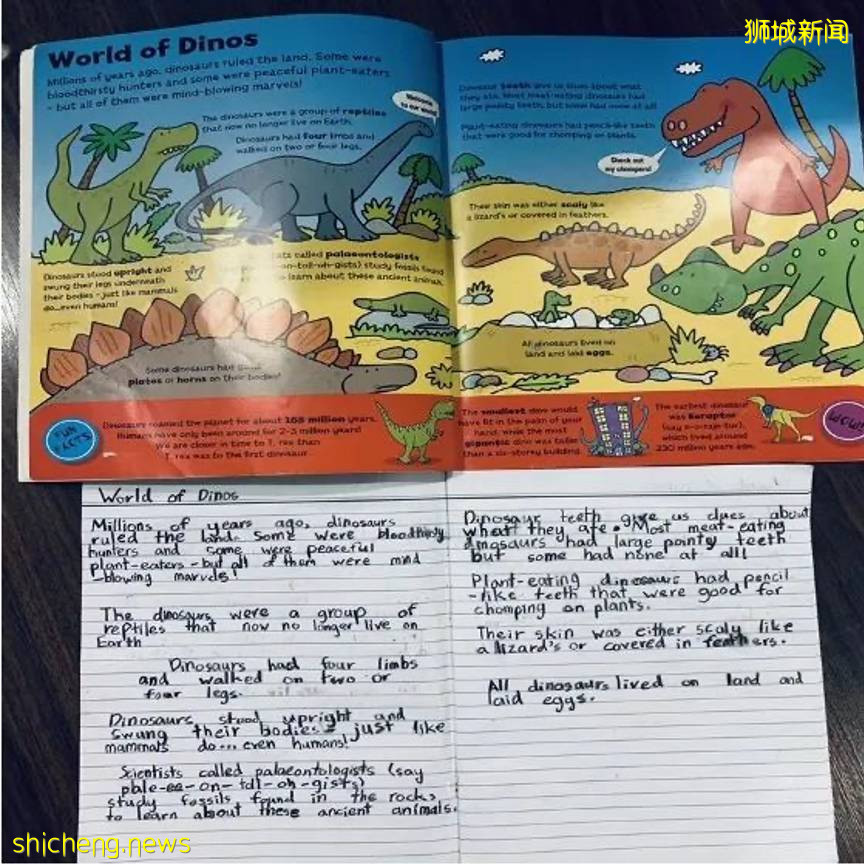 “我,一個人帶兩個娃,在新加坡這樣安排學生假期