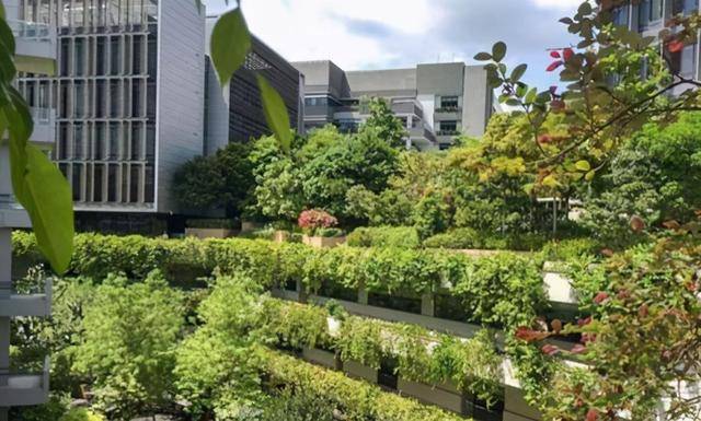 居住在新加坡的优势