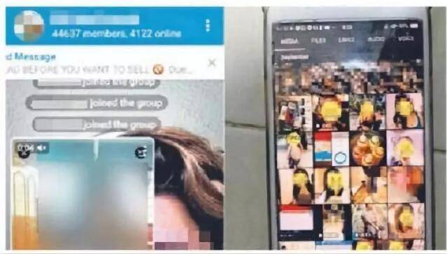 新加坡端掉一小黄片泛滥“群”，近五万人在线分享资源