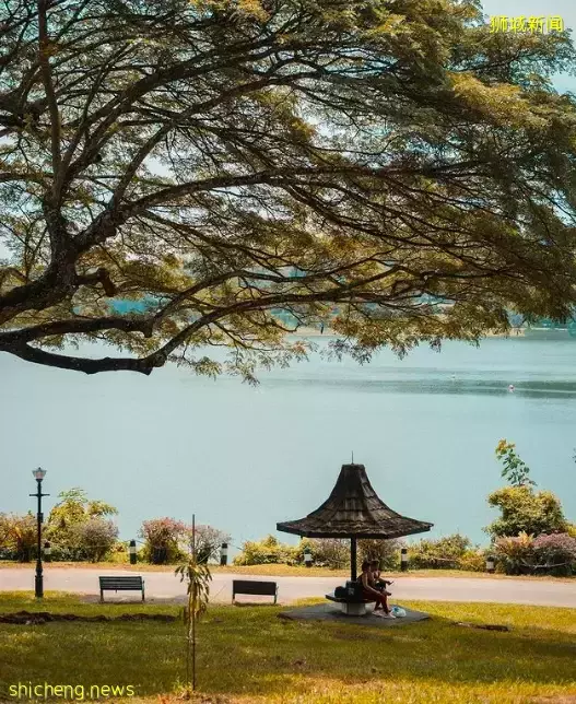 玩在狮城 周末回归自然——为你搜罗坡岛那些最适合徒步欣赏美景的好去处