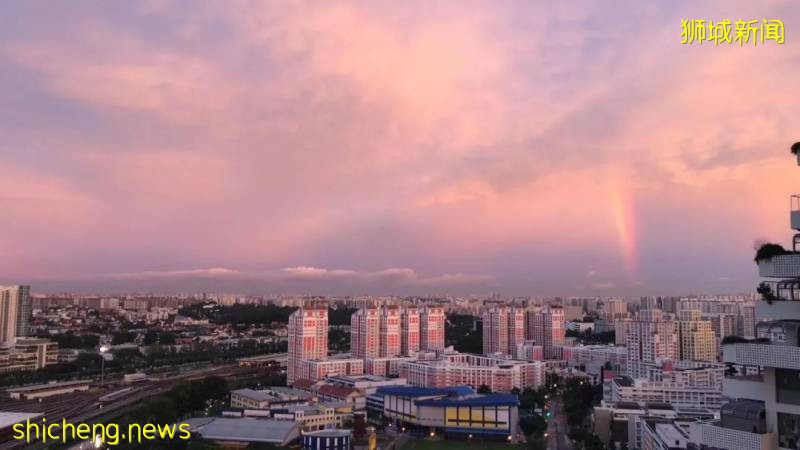 刷屏!新加坡昨天出现绝美彩虹,副总理也忍不住转发!